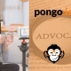 Article Pongo 311025 1